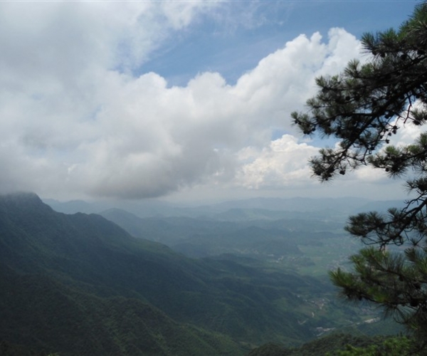  ũҵ¿�� 165722c77c6mhn7zlrn7n6