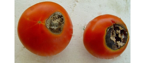  ȱ�ط��� forum