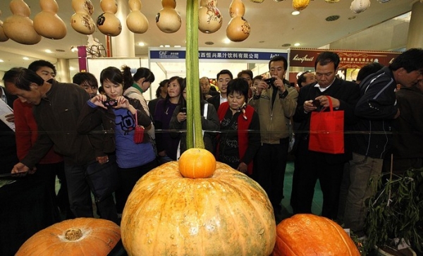  ũҵ 2306549viocpivphizpida