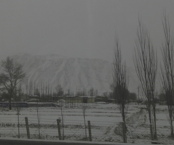  �������ҵ-ׯ���� forum