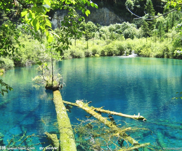  ũҵ���� 1542320plbpi2cxo3pjbsh