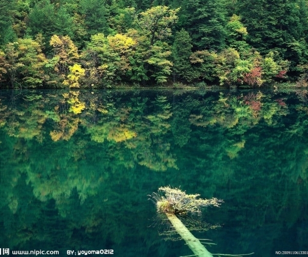  ũҵ 154224jjo5zbp8dckp3s8c