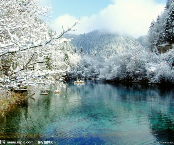  ũҵ���� 154256mq06005051fvxrma