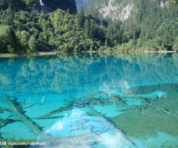  ũҵ 154241i5xnibgg7xaio4m2