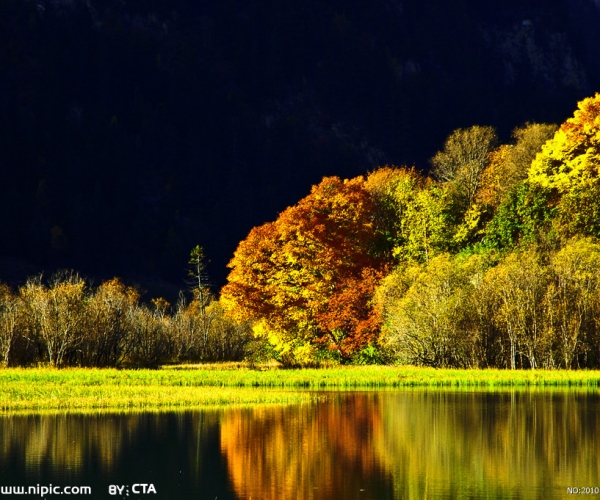  ũҵ 154249jx4qejqhsewzhlp9