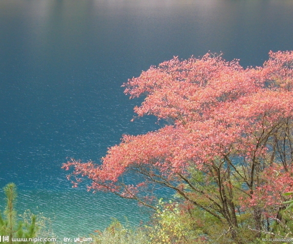  ũҵ���� 154316bnckuxqn77u54kmh