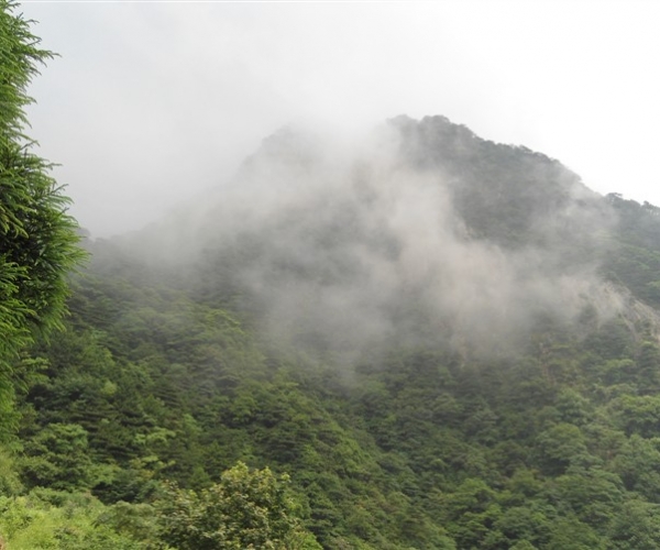  ũҵ¿�� 16572534ga2b1l948gd8v4