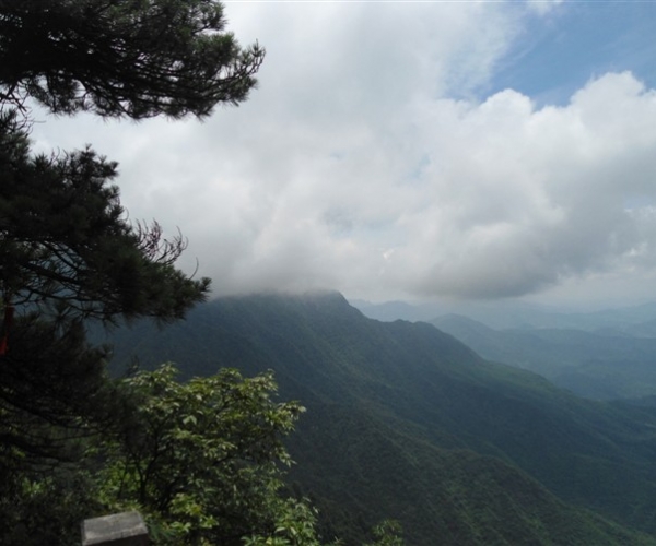  ũҵ¿�� 165728k9hk88p16oa6phh6