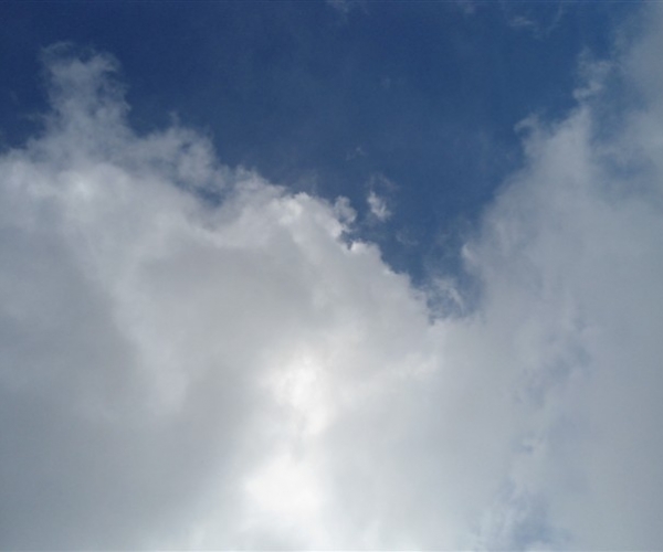  ũҵ¿ 165731uoyi5occyp88ypcc