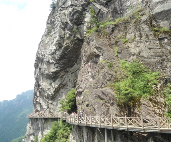  ũҵ¿�� 165734rbitw6wkhwozkd1b