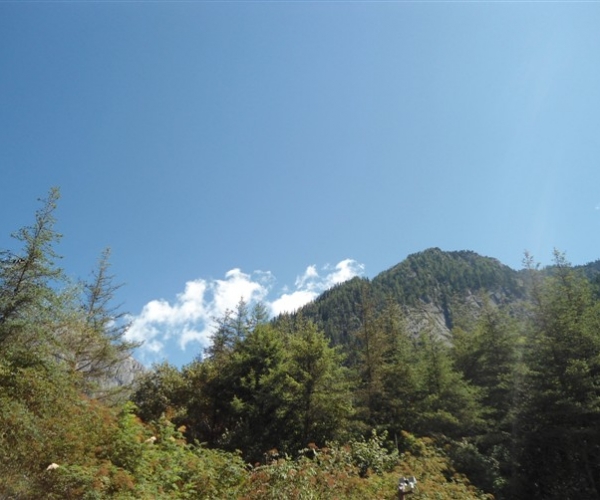  ũҵ¿�� 171554hxhhrjctjjbjajj5