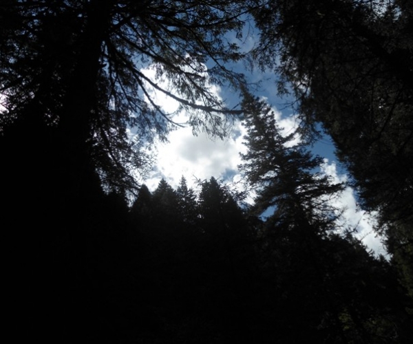  ũҵ¿�� 171555yz4gcnfnq4xz6qr0