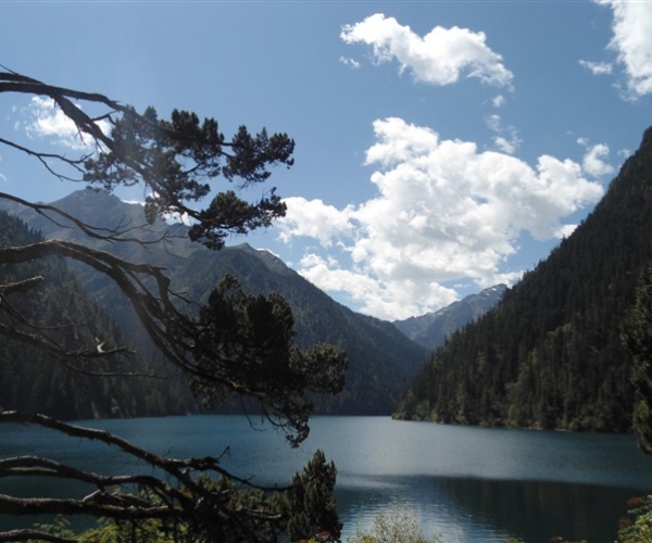  ũҵ¿�� 171557kk1t810841lll4t1