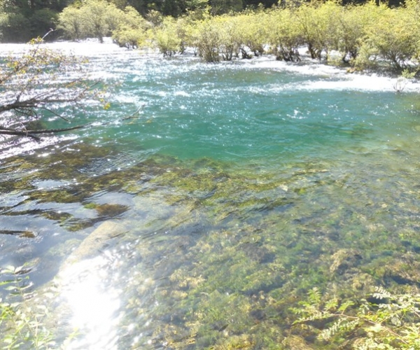  ũҵ¿�� 171608mss8zx72xyap82zw