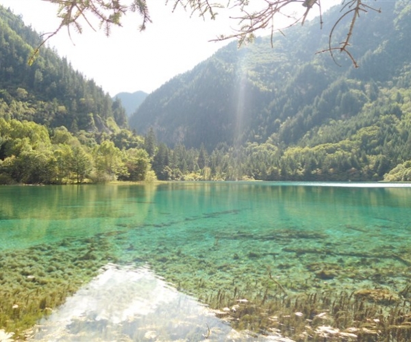  ũҵ¿�� 171600a19cnzn2pf2139la