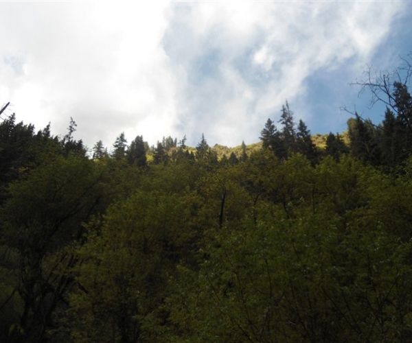  ũҵ¿�� 171606flq9otraarbal9y4