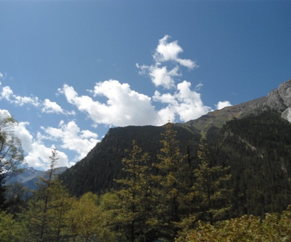  ũҵ¿�� 171611fzqu5q42a2h42252