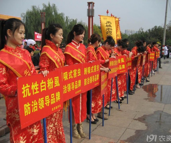  ����ְҵӪ��������-½���� forum