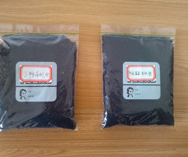  ������̳ forum