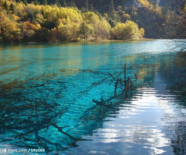  ũҵ 154327tnpf2a2l9catqtsl