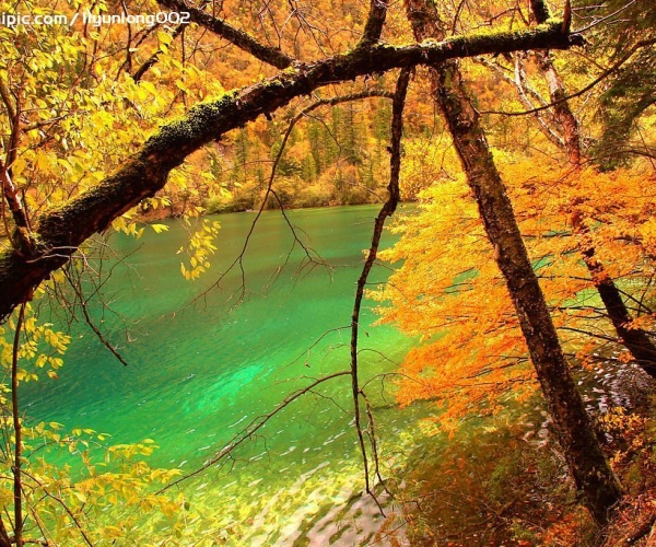  ũҵ���� 154347wsxx3h1wv161psbs