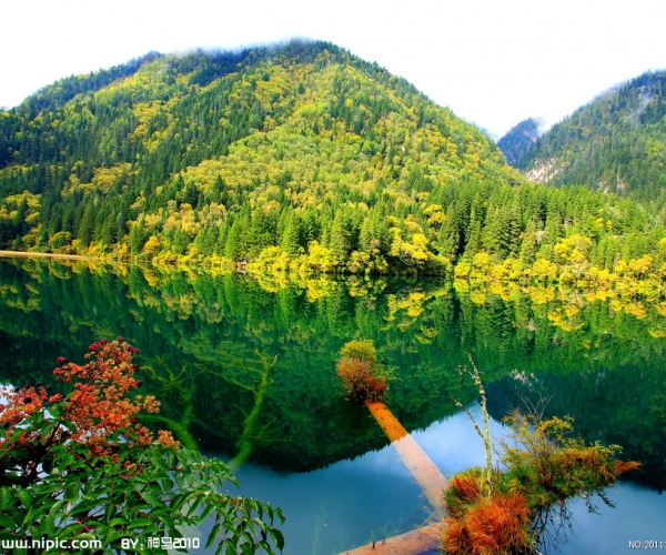  ũҵ���� 154441777zkplz2r75qd77