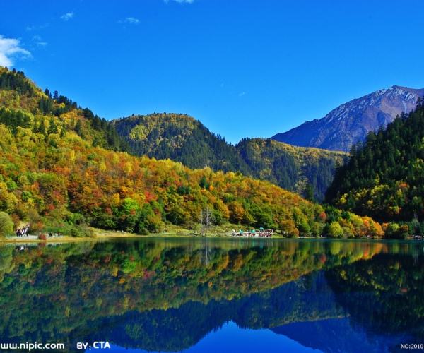  ũҵ���� 154425r4gc4lrhbbebbzri