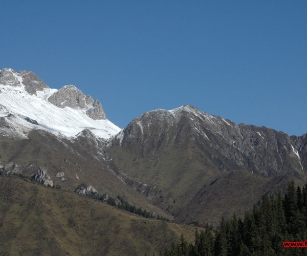  ũҵ���� 154444pizhihbr8hrqiyaz