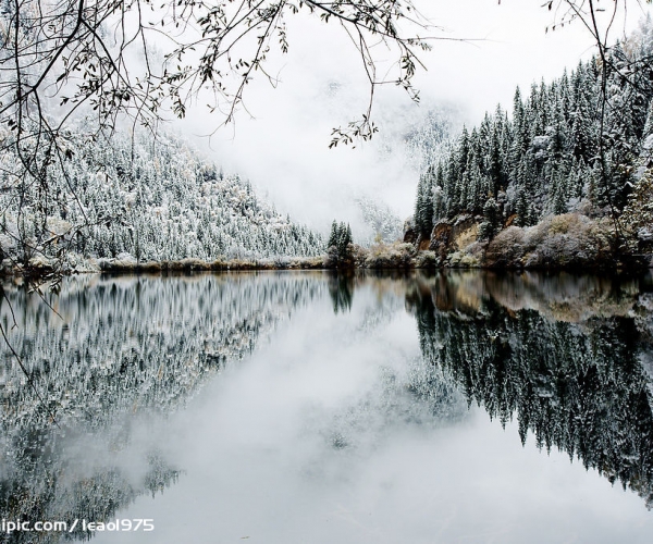  ũҵ���� 1544511ylptzly1n49cm7i