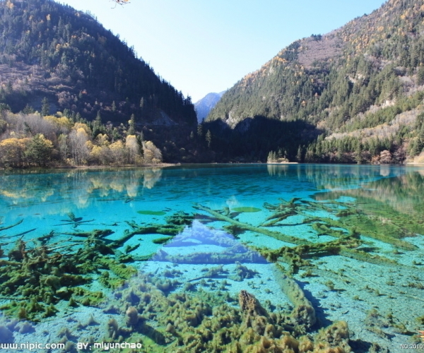  ũҵ 1545205zaozjr1dmm57865