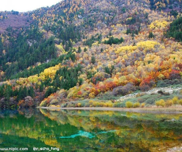  ũҵ���� 1545345iik62v5xi60bkuz