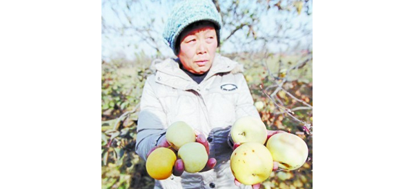  ������̳ 0924484rtx9llpnqt6ll66