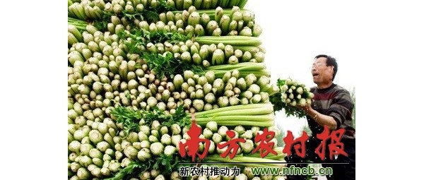  ֲũ 0931073b2lp5sifovvl3ik