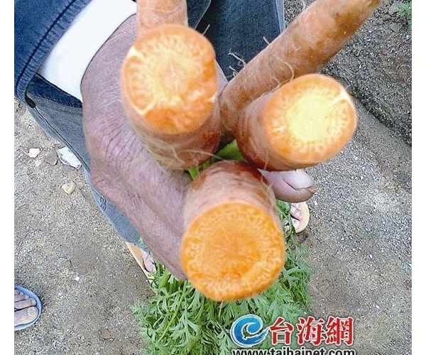  �������� 094247gw43imq3qa0cc34b