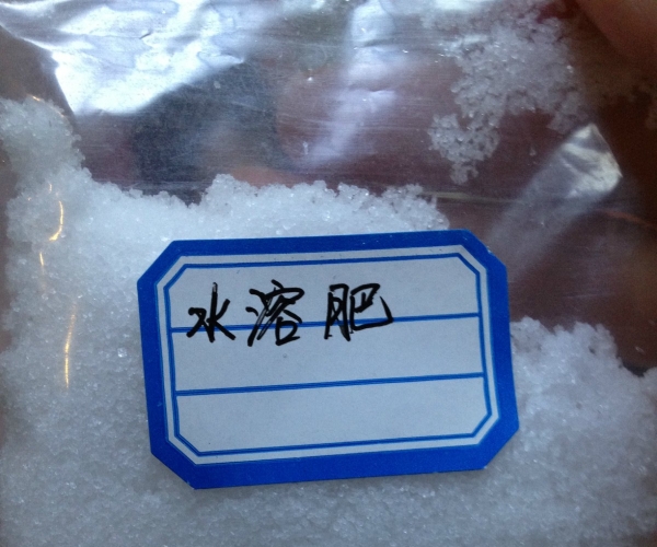  ������̳ 105240pqpzdq0hqkd4iw1w