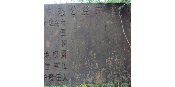  ũע 1104045fsfese3smme5w63