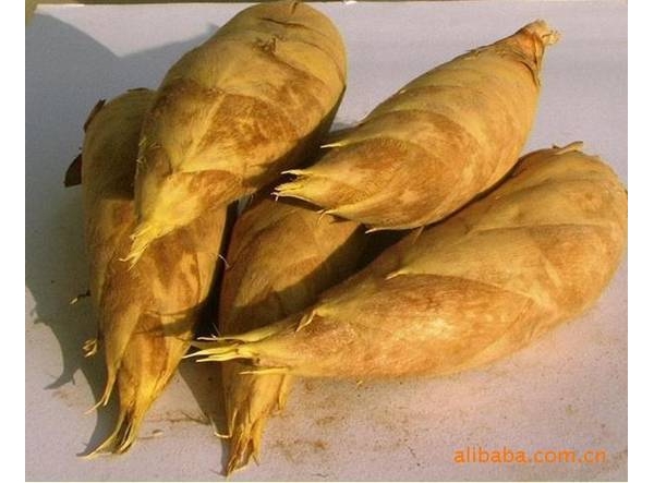  ũ����Ϣ forum