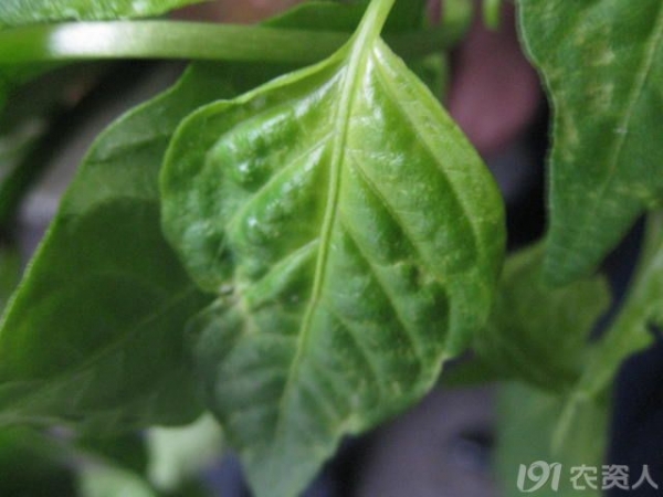  ����ݺ� 154136ggvgwcg5wqzzqcq6