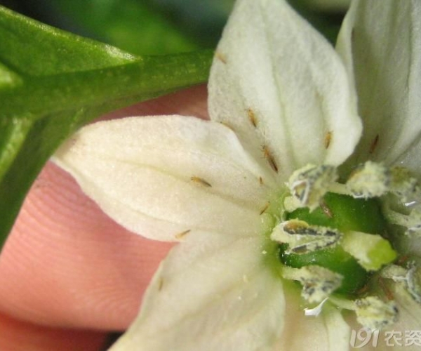  ����ݺ� 154137zz9n9qjnkwgbk3gk