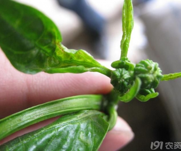  ����ݺ� 154137hz4d4oiih89emx57