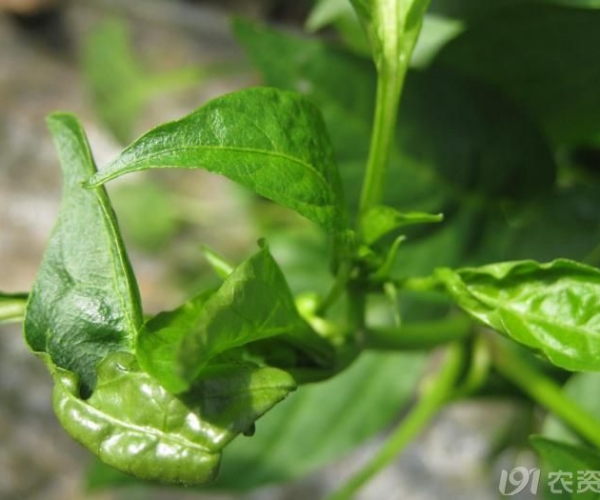  ����ݺ� 154138jq2g23t6ytwiyppz