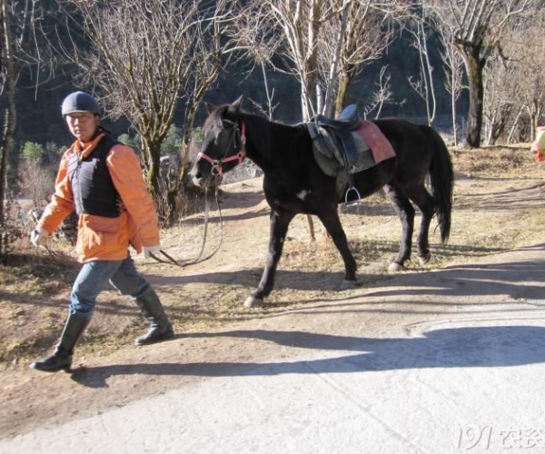  ũҵ¿�� 1345279lilhaf0149zsod4