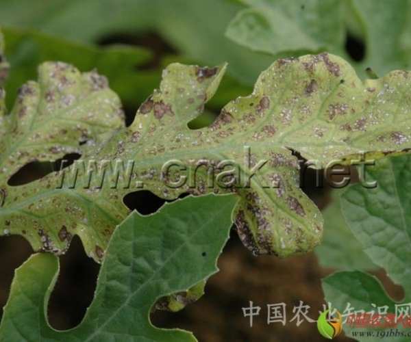  ����ݺ� 162348hmhih88c33ot0j2c