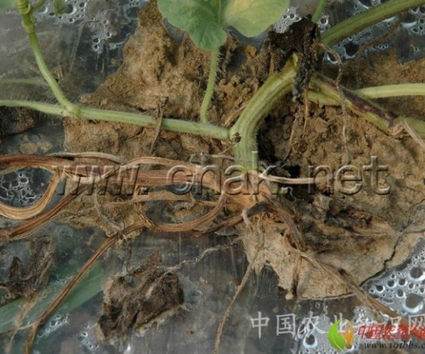  ����ݺ� 1623493o2boovjujbjzpuj