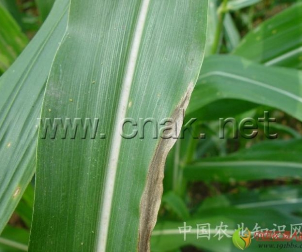  ݺ 163854kopp9dq92oppd2rp