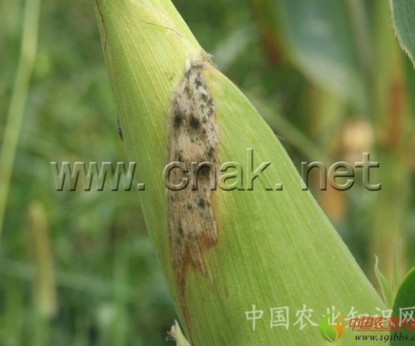  ����ݺ� 163853r0l9l05ueaykjyez