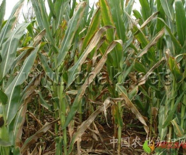  ݺ 163854w0ihumehsmwhpjon