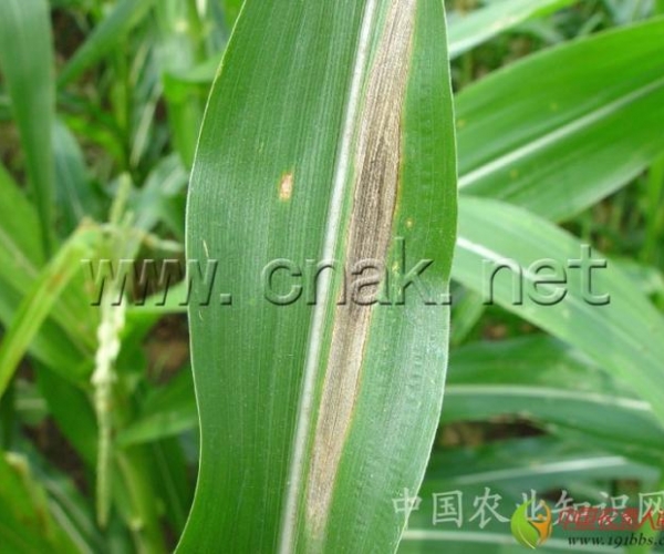  ����ݺ� 163855e7w8ek7r228xkp7j