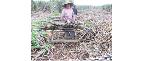  ֲ��ũ�� 094816nb0dnojh3ahdxoi3