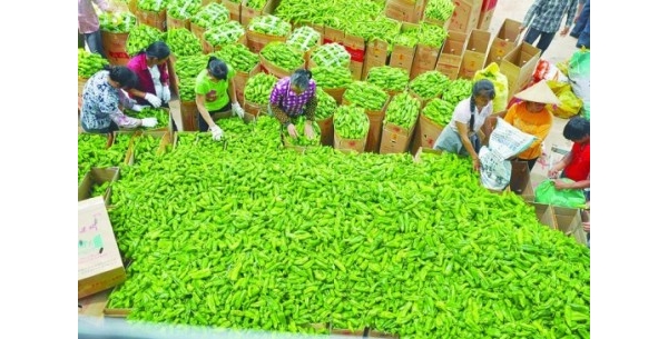  ũע 09534192g1mb911g1ggggy